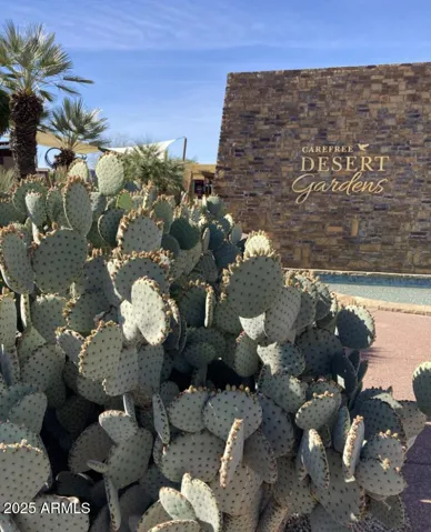 Enjoy the beautiful Carefree Desert Gardens