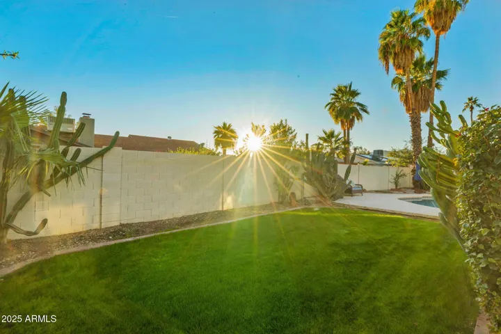 Backyard