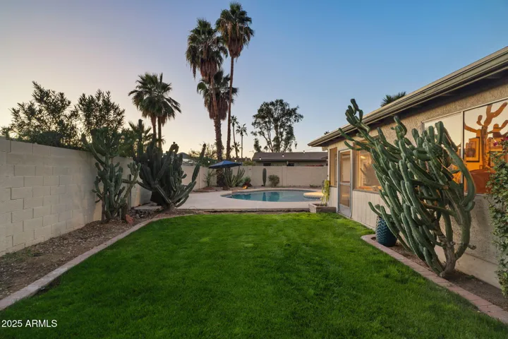 Backyard