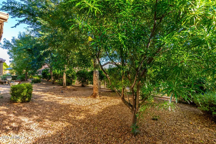 Back Yard, Fenced and Low Maintance