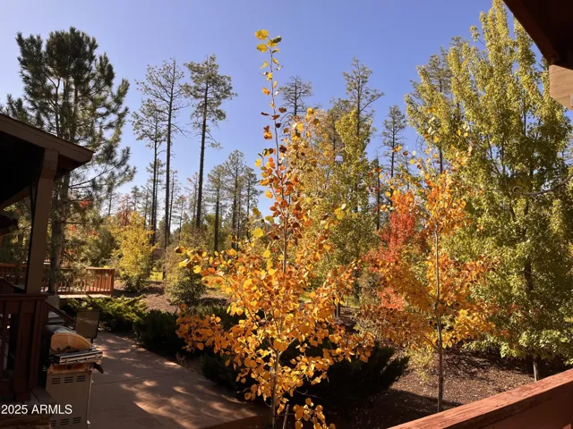 Glorious colors of autumn.