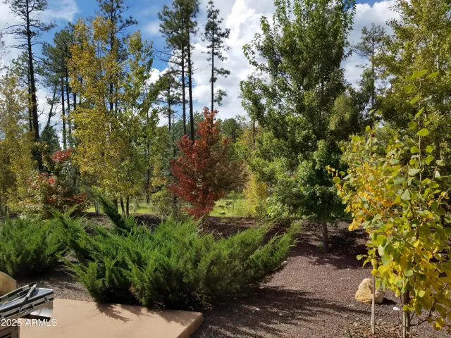 Glorious colors.