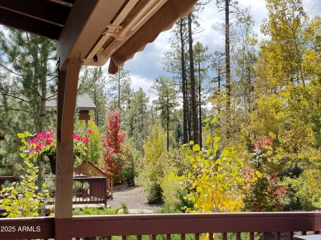 Gorgeous colors year round!