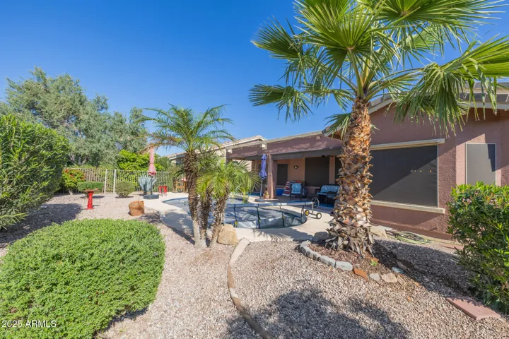 Mature Landscaping
