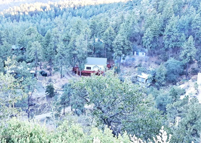 Beautiful property surrounded by beautiful trees