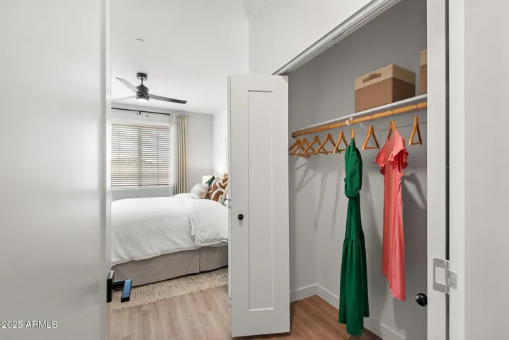Bedroom Closet 1