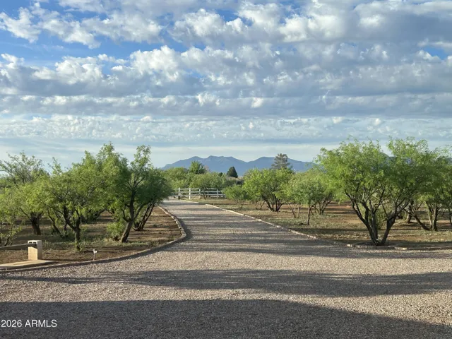 Huachuca Mountains in view
