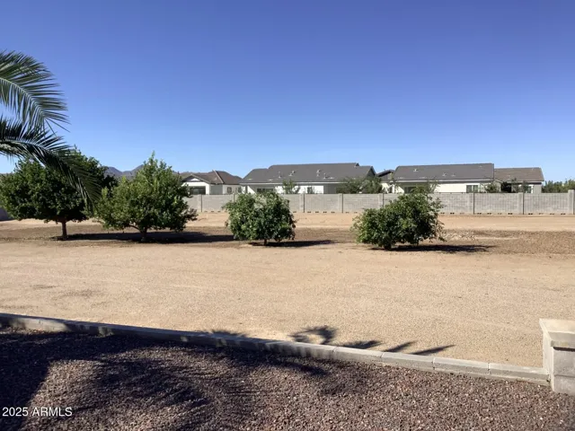 view to back fence