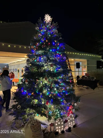 Lake 3 at the Clubhouse holds a Festive Partly ~ Complete with our Special Tree Lighting that the Kids come early and make ornaments for