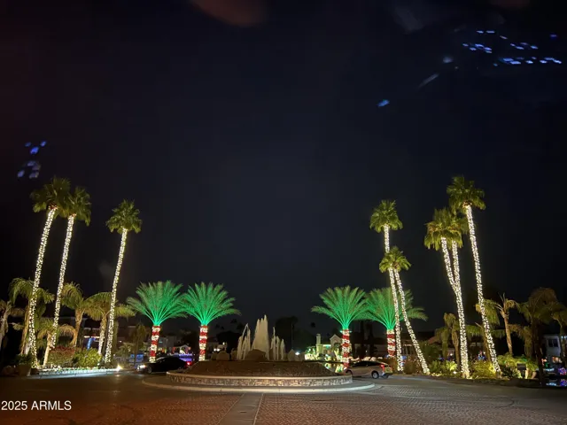 Welcome to The Islands @ The Holidays ~ beautiful Lights, Fountain & Candy-cane palms