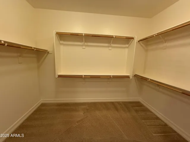 Master Bedroom Walk-In Closet #1
