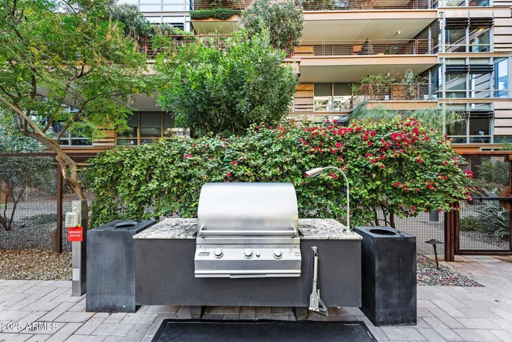 Built in BBQ for use in the common area.