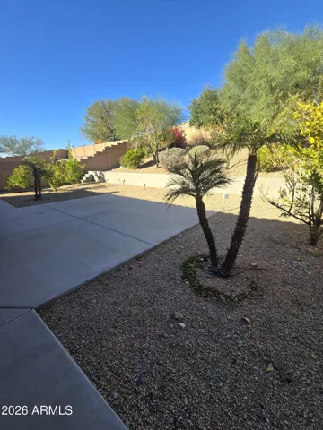 Low Maintenance back and front yards