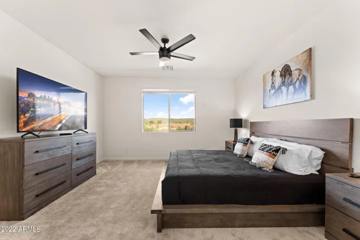 Large master bedroom with views