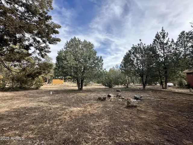 View Of Back Yard