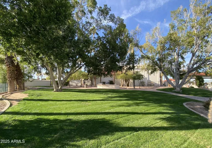 Big grass area next to tennis courts/BBQ area