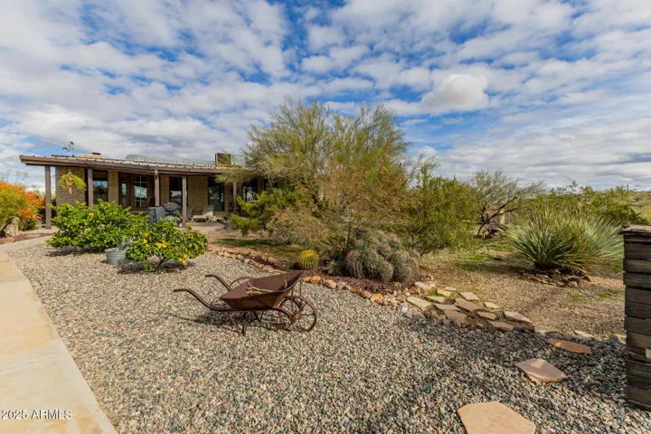 Beautiful Back Yard