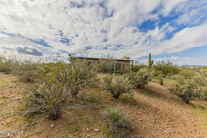 Natural Desert Landscape with Mature Saguaros