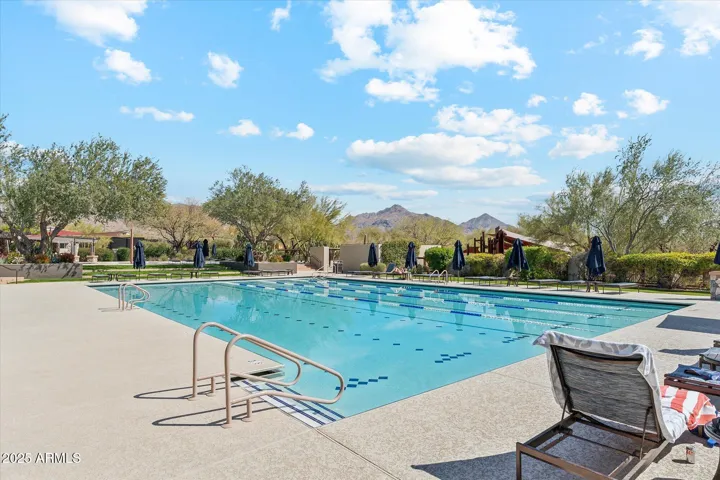 Lap Pool at Desert Camp
