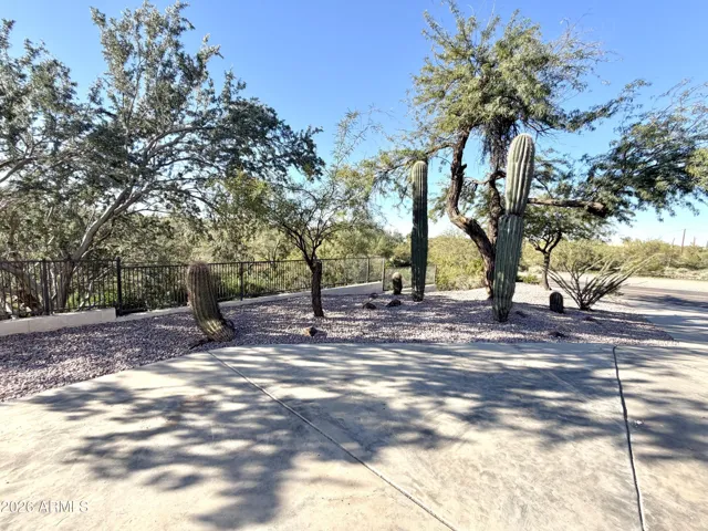 Mature desert landscaping