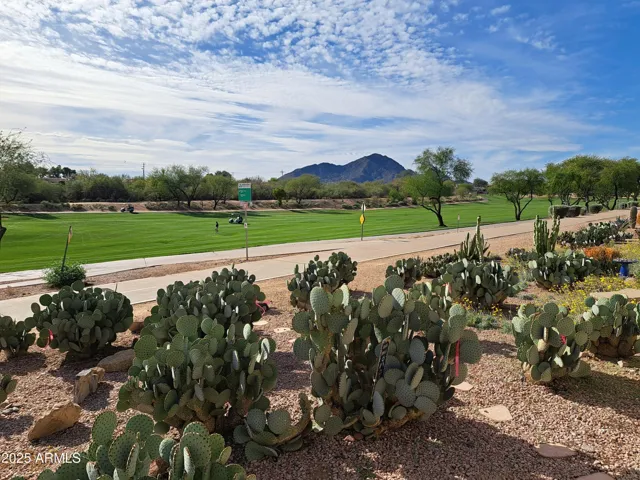 Golf course and Camelback Mountain views!