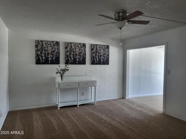 NEW CARPET