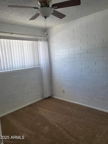 NEW CARPETS