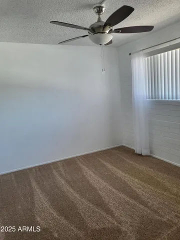 NEW CARPETS
