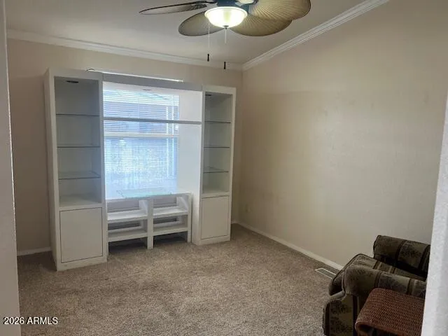 Den/office room
