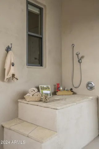 Raised Outdoor Dog Wash with Hot & Cold Water