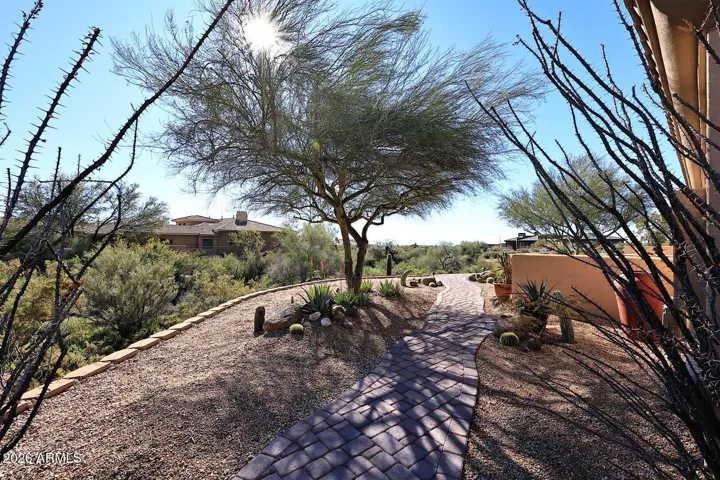 Side Yard