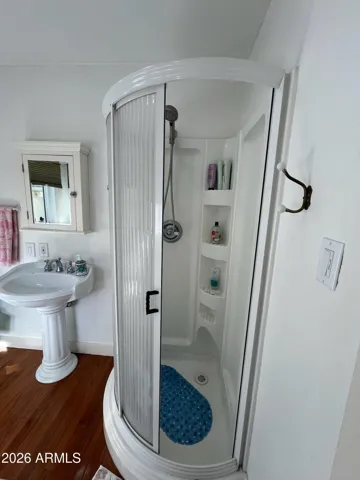Master bathroom shower