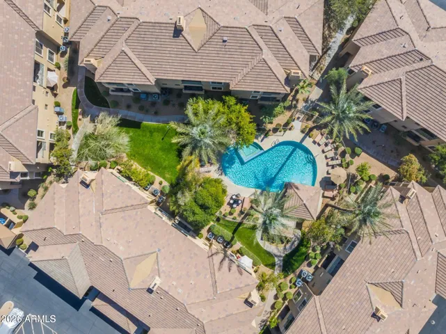 Resort-Style Amenities