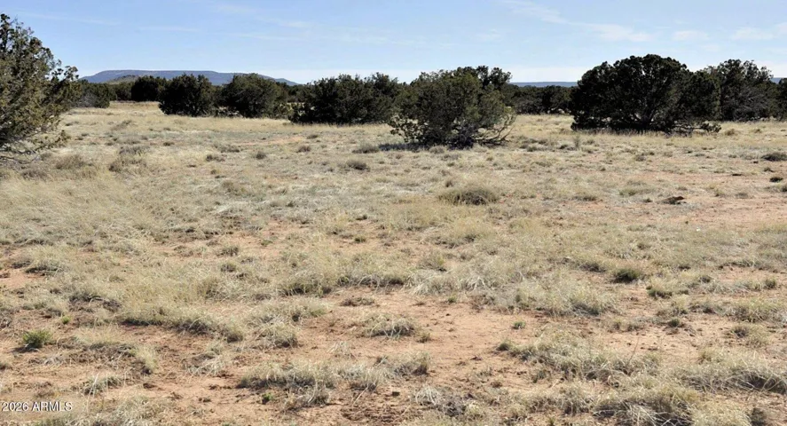 Native Grasslands Abundantly Treed with Ancient Juniper Trees. Many Over 16 – 20 Ft Tall