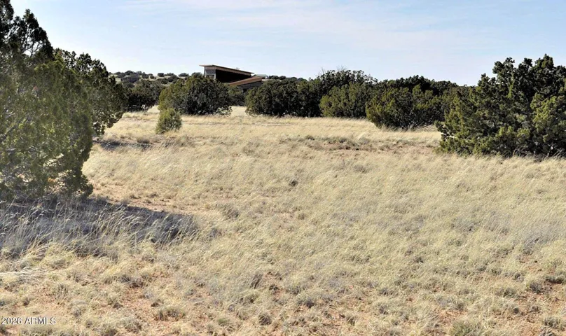 The Homestead Rooftop, Barely Visible from the Camp Setup on the Opposite Side of the 63 Acres