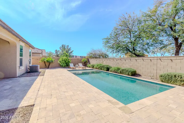 Backyard Oasis 5