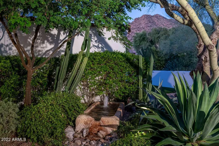 Back Patio