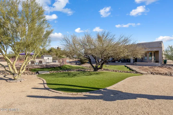 Plenty of room in this back yard
