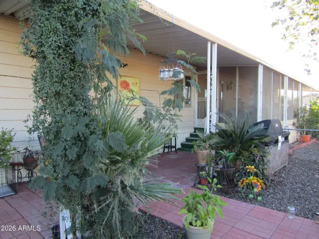 yard