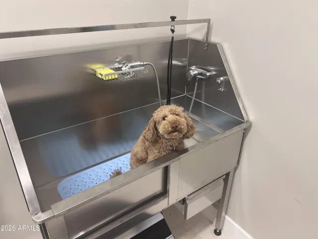 Dog wash in Utility/Laundry