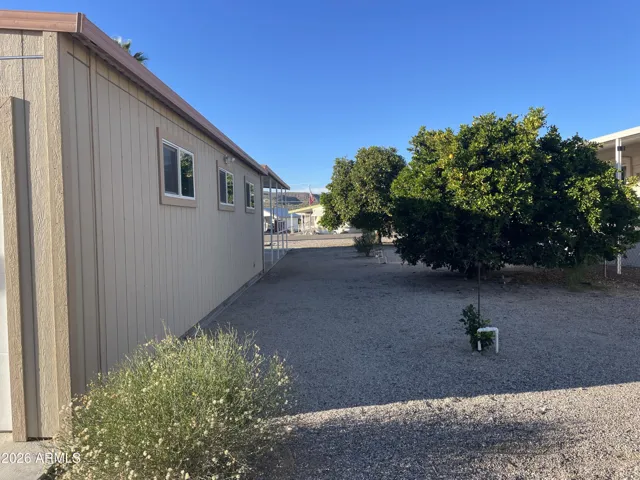 Fruit trees in the side yard