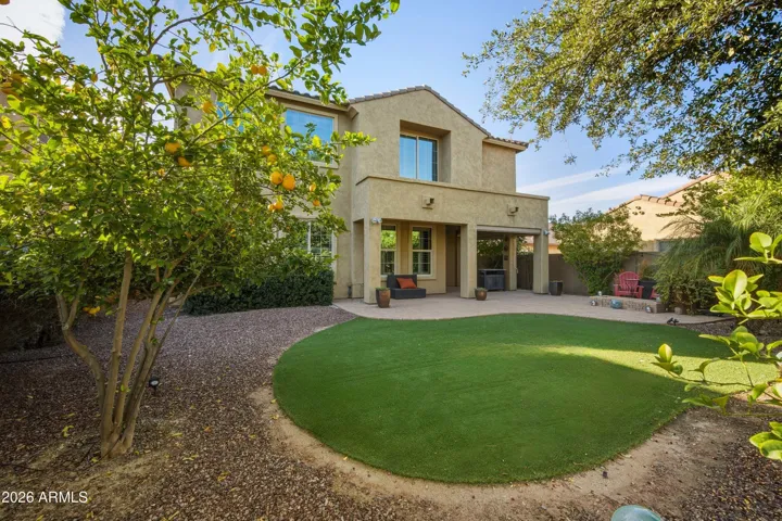 Beautiful, peaceful backyard with beautiful citrus trees.