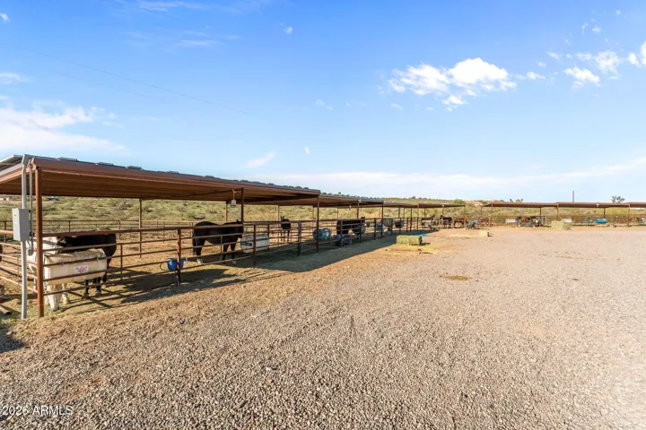 12 covered stalls
