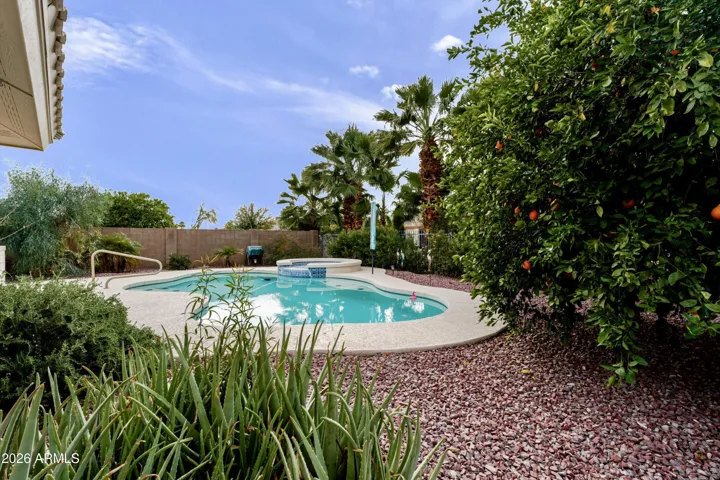 The spa-like backyard.