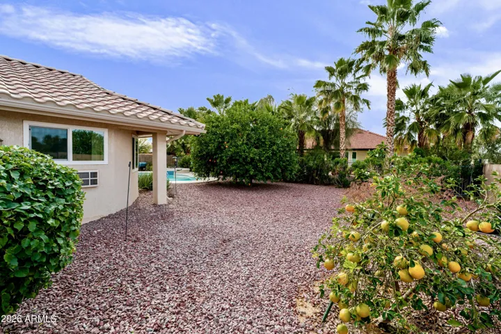 The backyard.