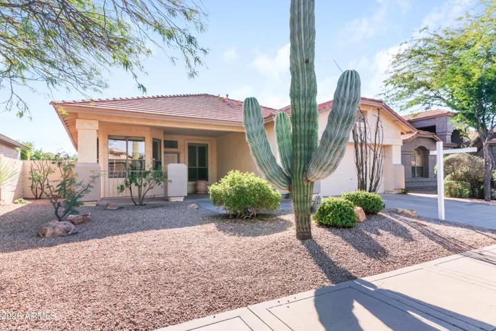 Mature Saguaro and Low Maintenance Landscaping