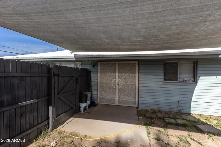 back yard