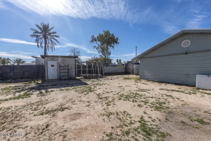 back yard