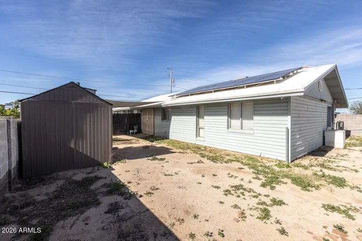 back yard