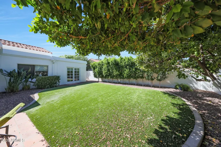 Lovely back yard